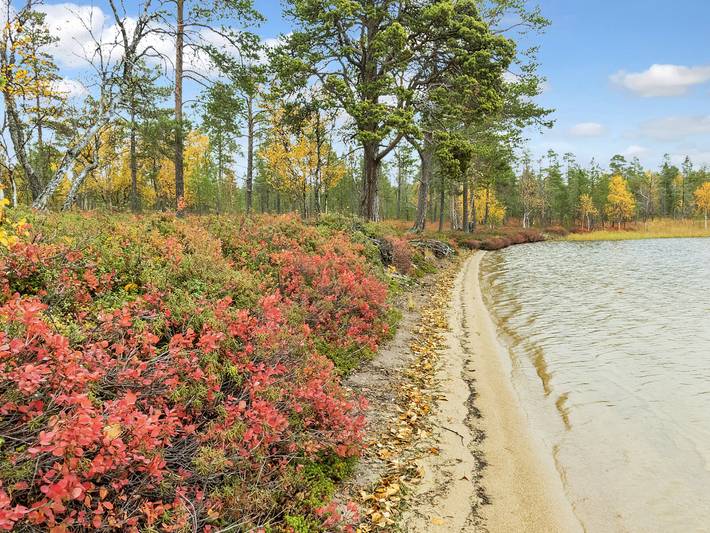 Peurakumpu in Lappland