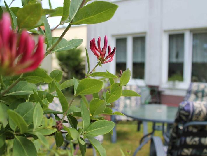 Ferienwohnung für 7 Personen, mit Garten und Balkon, mit Haustier - 1