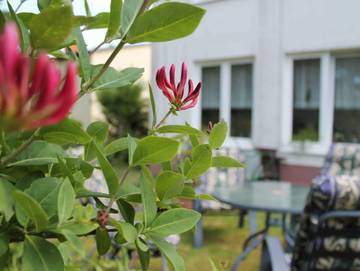 Ferienwohnung für 7 Personen, mit Balkon und Garten, kinderfreundlich in Neubukow