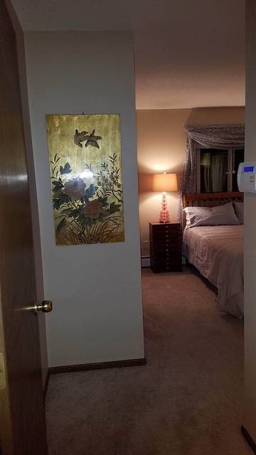 Vacation House for 8 Guests in Rochester (MN), Minnesota, Picture 1