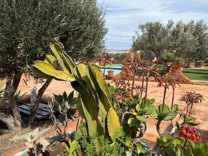 Apartamento de vacaciones para 4 personas, con piscina y jardín, Se admiten mascotas en Provincia de Almería - 2