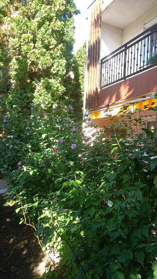 Cały apartament, Klapka Apartman in Hajdúszoboszló, Hajdúszoboszlói járás