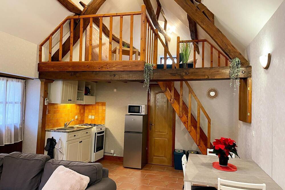 Encantadora casa para 4 pers en Tour-en-Sologne, con aire acondicionado in Tour-en-Sologne, Sologne