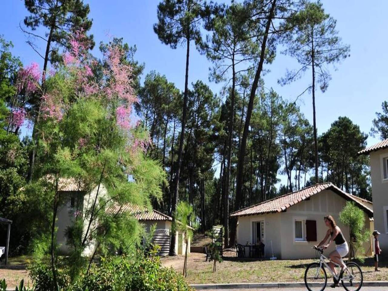 Apartamento entero, Apartamento junto al lago Clarens con piscina in Lago de Clarens, Casteljaloux