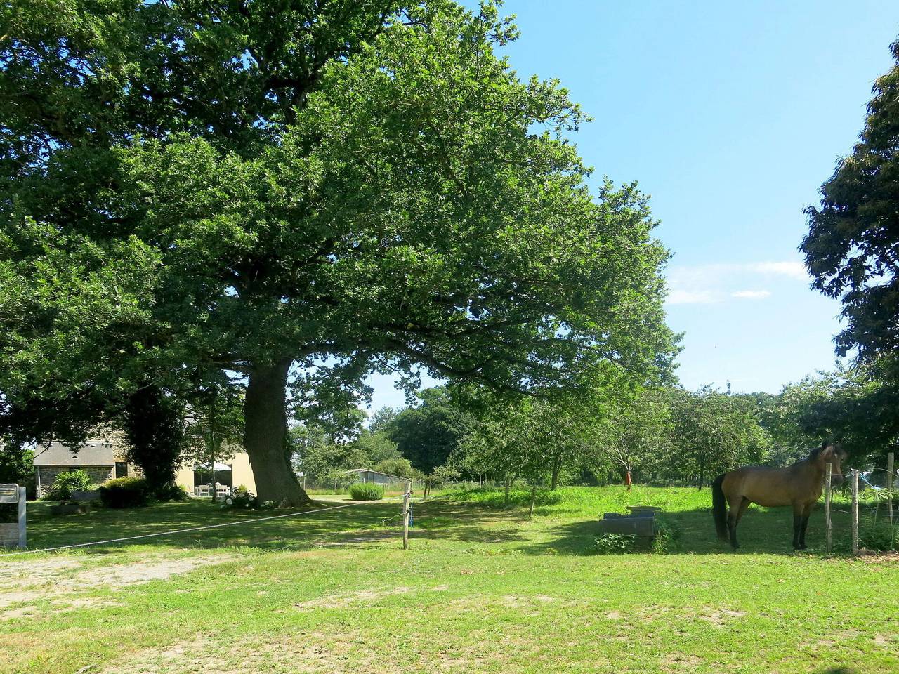 Le Petit Maître - Le Petit Maître 602.1 in Le Tronchet, Région de Saint-Malo