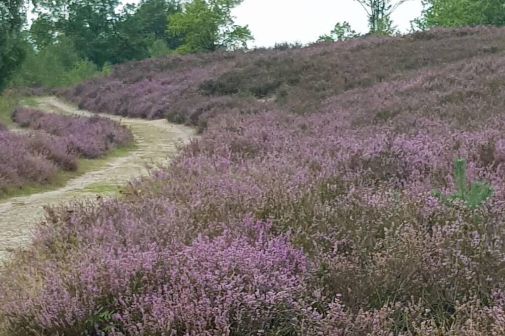 Behindertenfreundliche Ferienwohnung in der Lüneburger Heide in Soderstorf, Nordheide