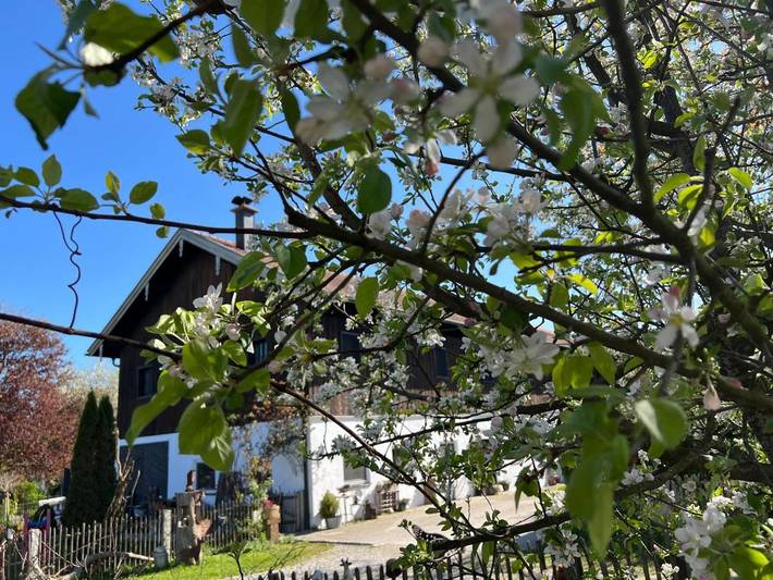 Ferienwohnung für 4 Personen, mit Terrasse und Garten sowie Ausblick in Petting - 2