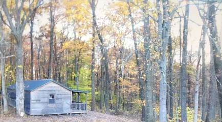 Cottage for 6 Guests in Hocking Hills, Vinton County, Picture 2