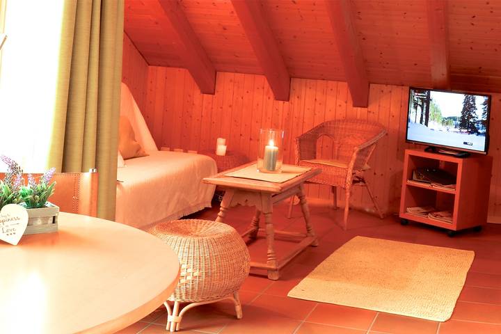 Ganze Ferienwohnung, Schwendihof - Studio Churfirsten in Flumserberg, Flums