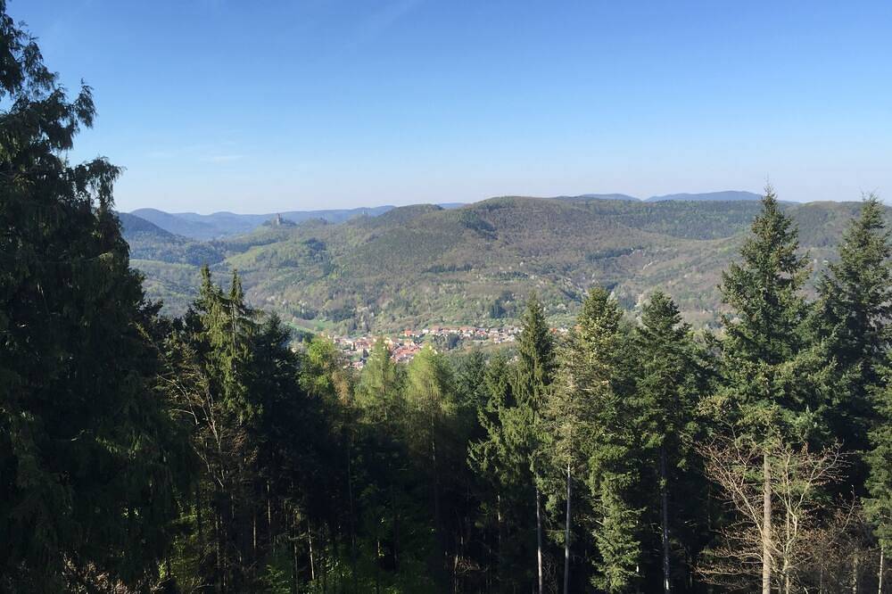 Alter Gutshof mit viel Platz für große Familien und alte Freunde - bis 8 Betten in Klingenmünster, Trifelsland