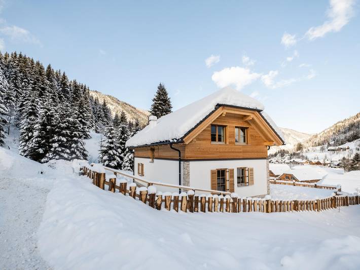 Chalet für 11 Personen, mit Sauna und Garten sowie Terrasse und Whirlpool - 1