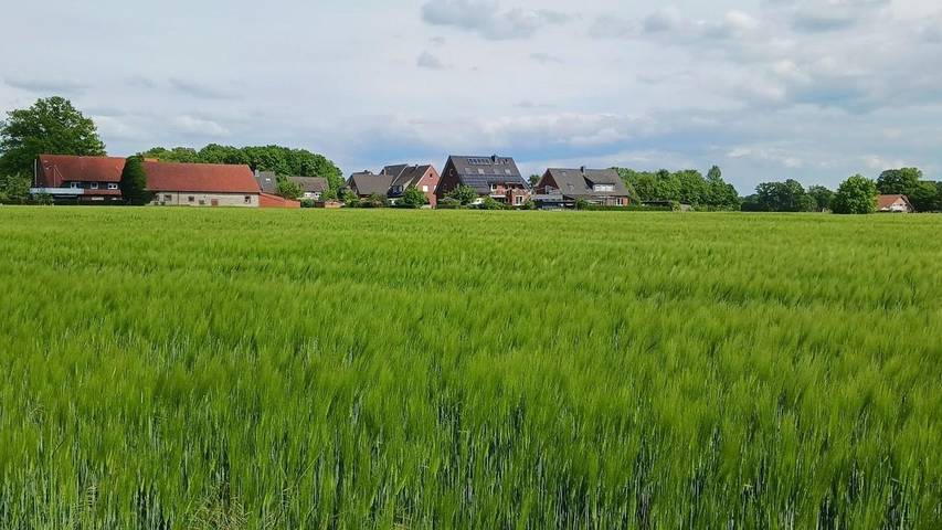 Ferienwohnung für 2 Personen, mit Balkon in Osnabrücker Land - 3