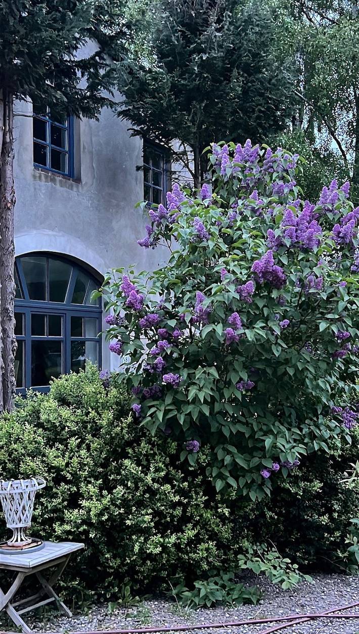 Ferienwohnung für 3 Personen, mit Ausblick und Terrasse sowie Garten - 1
