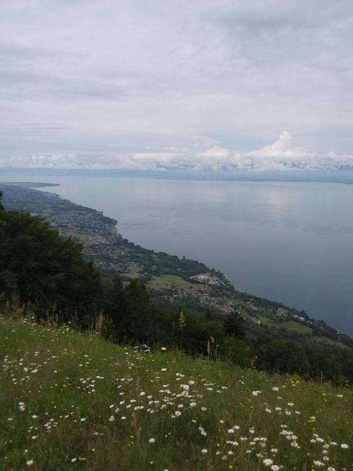 Gîte pour 4 personnes, avec terrasse ainsi que vue et vue sur le lac à Thollon-les-Mémises - 2
