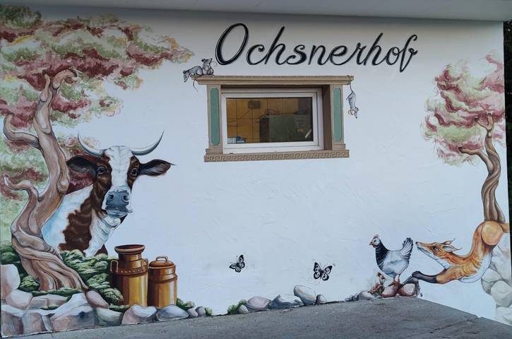 Ferienwohnung für 4 Personen, mit Balkon und Garten in Osttirol - 2