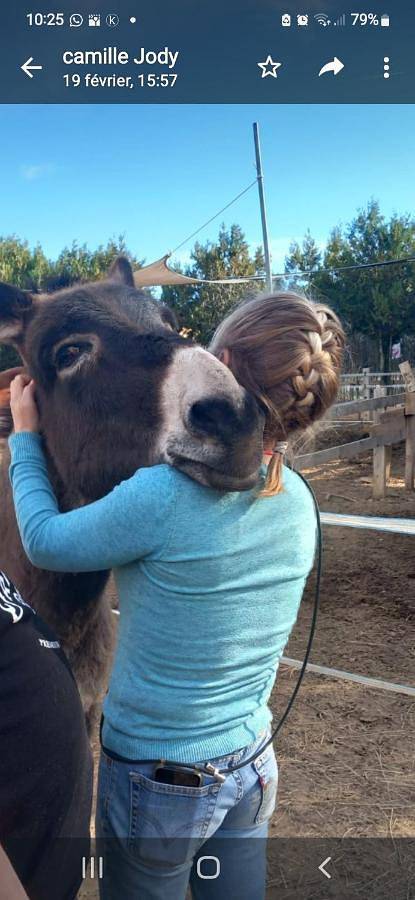 Maison de campagne pour 4 personnes, avec jardin et vue à Jouques - 2