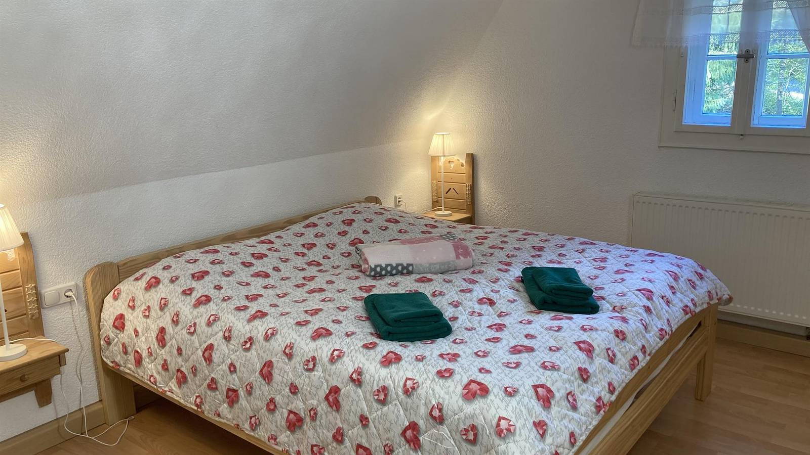 Ganze Ferienwohnung, Appartement/Fewo, Dusche und Bad, Wc, gartenseitig in Schellerhau, Altenberg