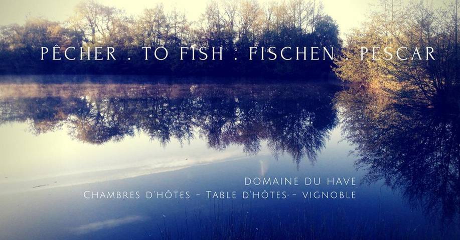 Chambre d’hôte pour 5 personnes, avec jardin ainsi que piscine et terrasse, adapté aux familles dans le Gers - 3