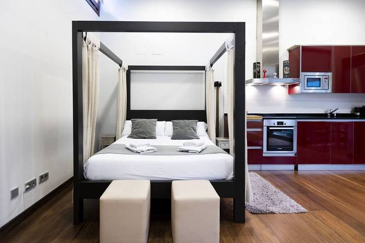 Ganze Wohnung, Loft in Hondarribia, Baskische Küste (Spanien)