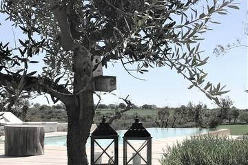 Agriturismo per 8 Persone in Martina Franca, Valle D'Itria, Foto 1