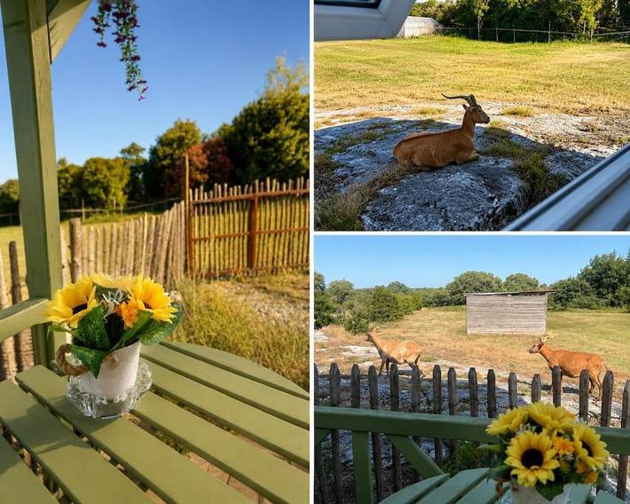 Casa rural para 2 personas, con terraza además de jacuzzi y jardín - 1