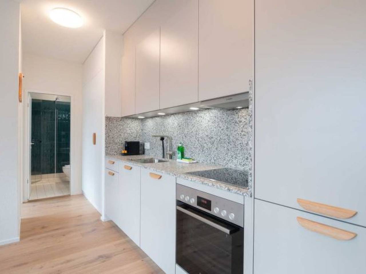 Apartamento inteiro, Apartamento de férias para 4 pessoas in Zurique, Bezirk Zürich