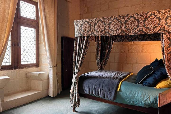 Château entier avec grande piscine chauffée au coeur des châteaux de la Loire in Beaumont-en-Véron, Vallée de la Loire