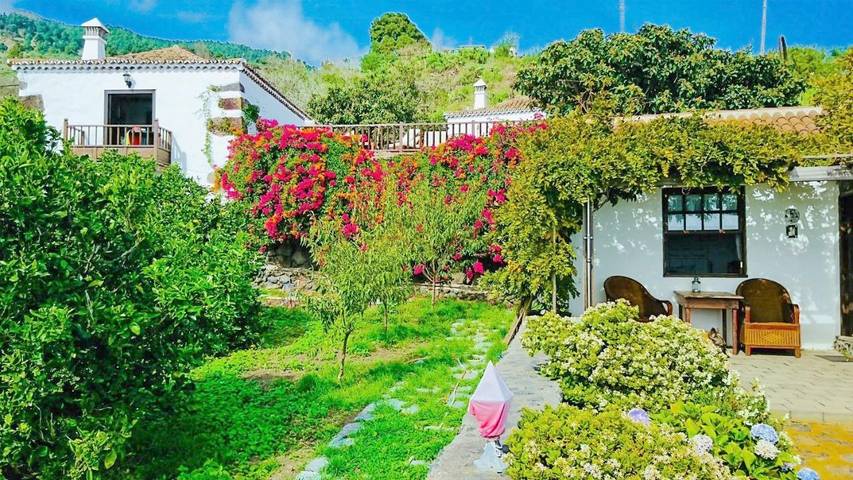 Casa rural para 3 personas, con vistas y jardín, Familias con niños en Villa de Mazo - 4
