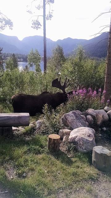 Vacation House for 8 Guests in Grand Lake, Grand County, Picture 1