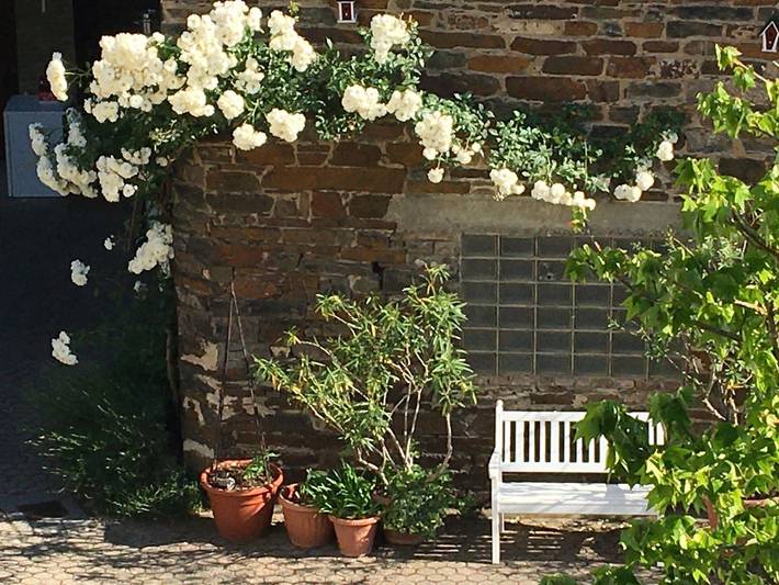 Ferienwohnung für 3 Personen, mit Terrasse an der Burg Eltz - 3
