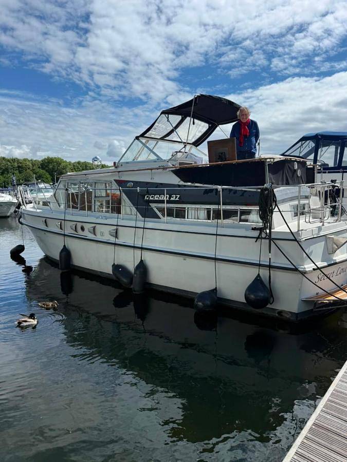 Bateau pour 4 personnes, avec Balcon et Terrasse ainsi que Jardin et Vue dans Bray - 2