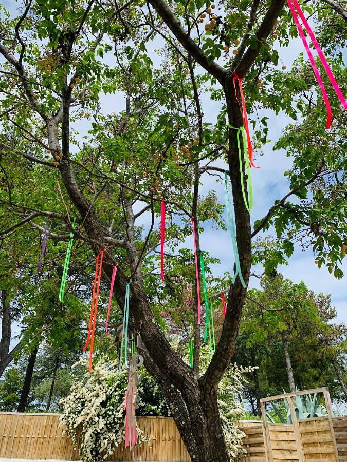 Location de vacances pour 6 personnes, avec jardin et vue, animaux acceptés à Juvignac - 4