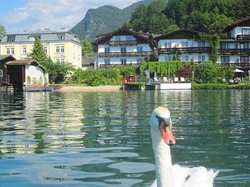 Hotel für 2 Personen, mit Garten und Seeblick sowie Ausblick, kinderfreundlich in Sankt Wolfgang im Salzkammergut