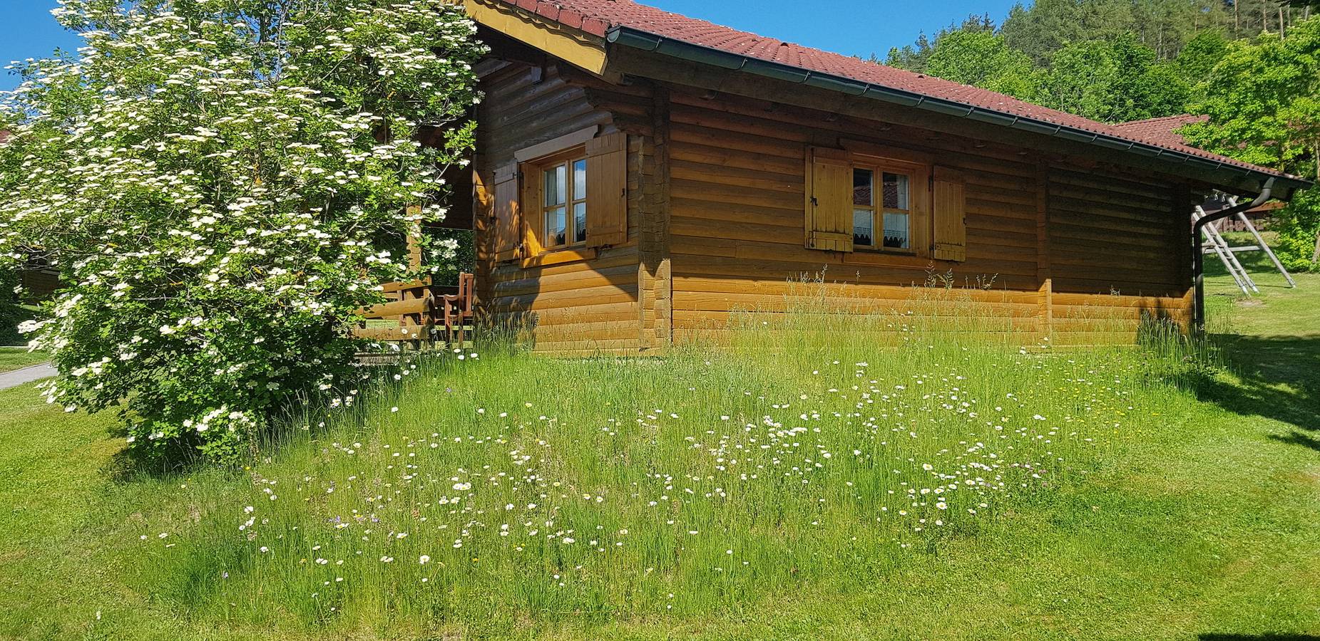 Ferienhaus für 4 Personen in Stamsried, Ostbayern