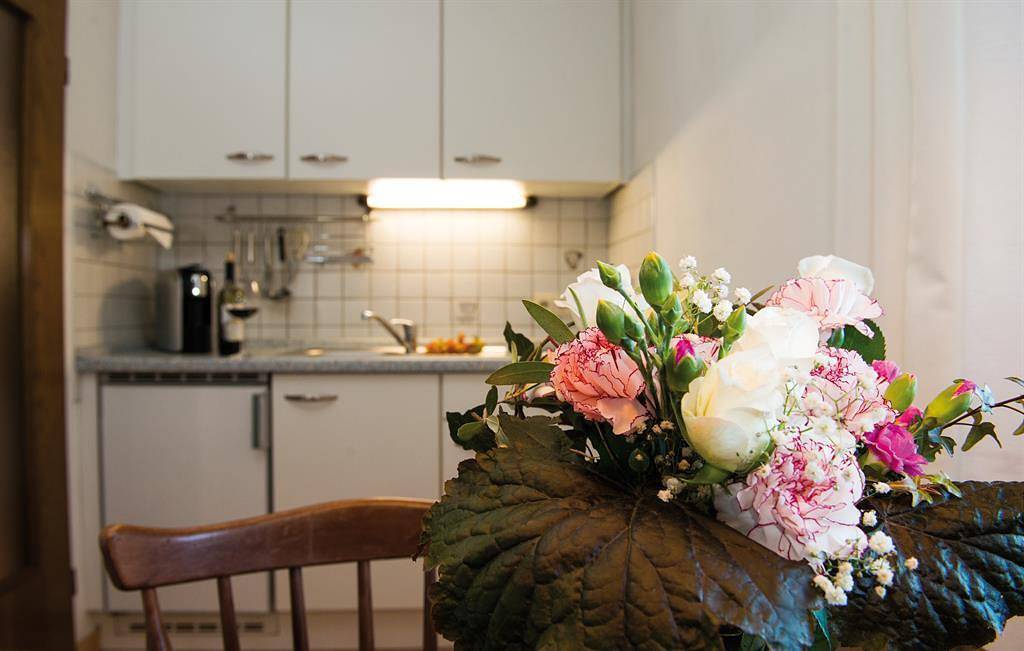 Ganze Ferienwohnung, "Karwendel" Fewo/1 Schlafraum/Dusche, Wc in Wallgau, Walchensee