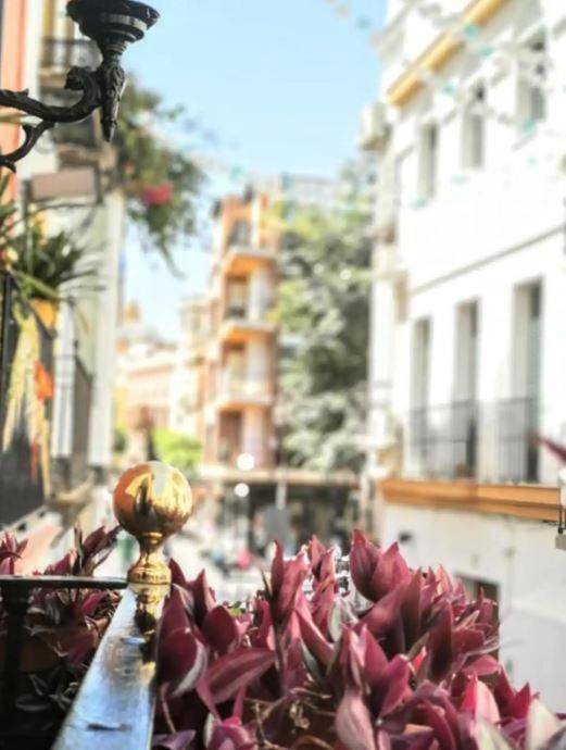 Typical Sevillan 2 bedroom unit in Casco Antiguo, Sevilla