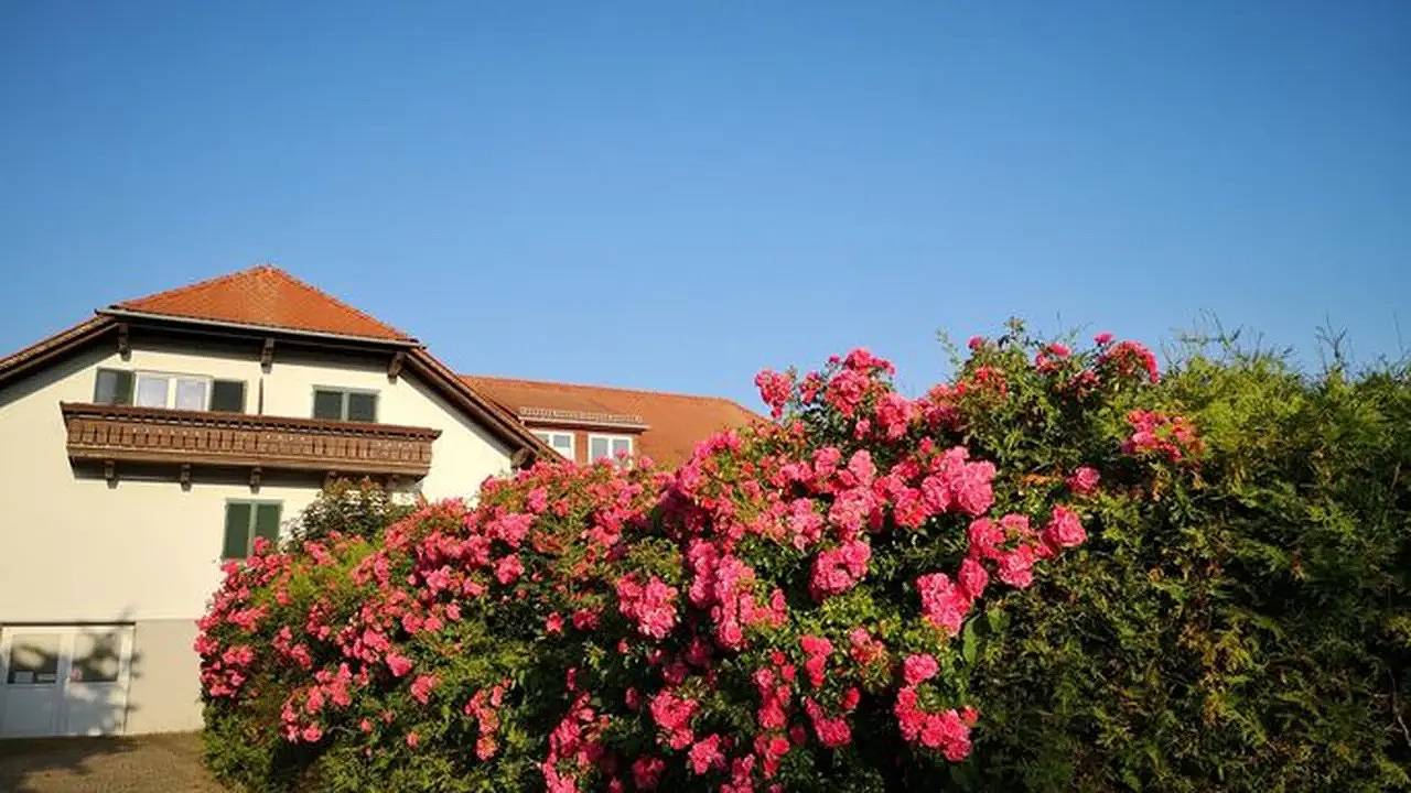 Hotel für 2 Personen (31 m²) in Bad Waltersdorf in Bad Waltersdorf, Steirerland