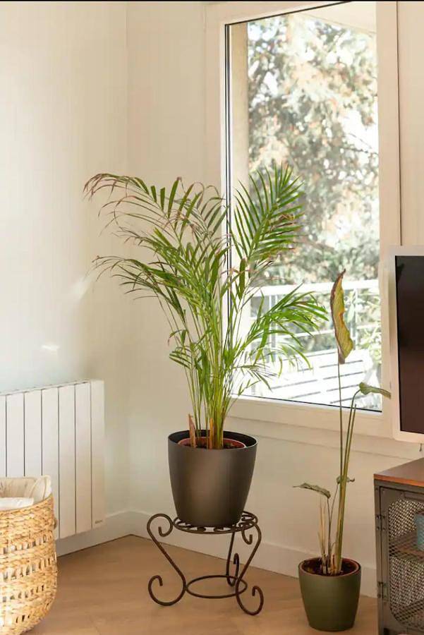 Appartement de vacances pour 4 personnes, avec vue à Romainville