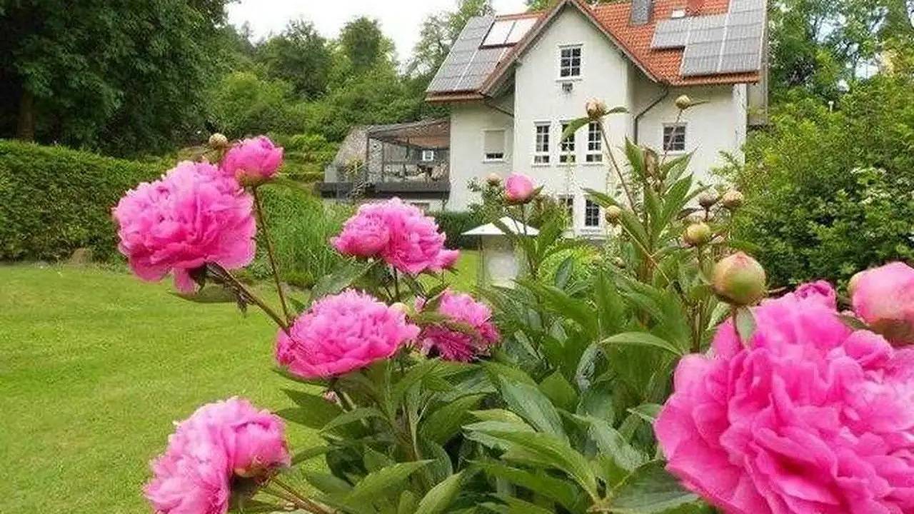 Ganze Ferienwohnung, Ferienwohnung für 2 Personen (42 m²) in Hemfurth-Edersee, Edertal