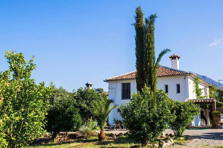 Casa rural para 13 personas, con jardín además de balcón y piscina en Sierra de Grazalema - 4