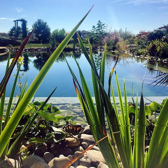 Chambre d’hôte pour 2 personnes, avec jardin, animaux acceptés dans Auvergne-Rhône-Alpes - 2
