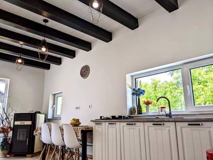 Villa in Carpathians