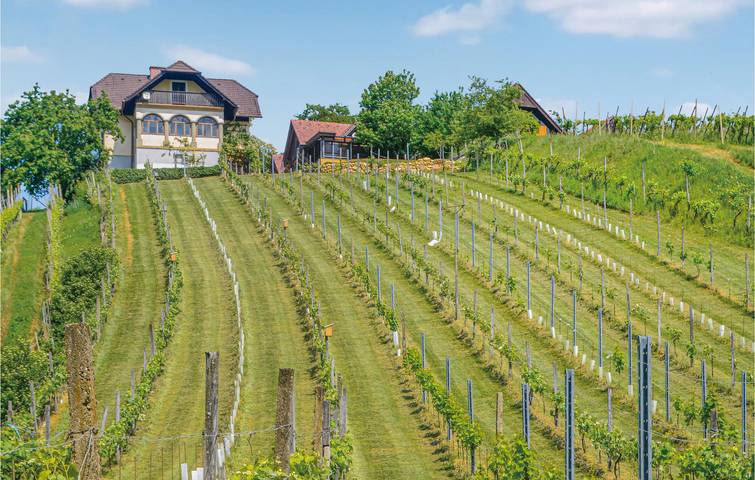 Ferienhaus für 5 Personen, mit Sauna und Pool sowie Terrasse und Garten in der Oststeiermark - 2