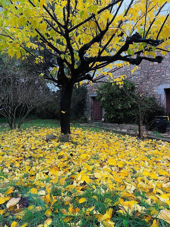 Location de vacances pour 6 personnes, avec jardin ainsi que piscine et vue, animaux acceptés à Claret