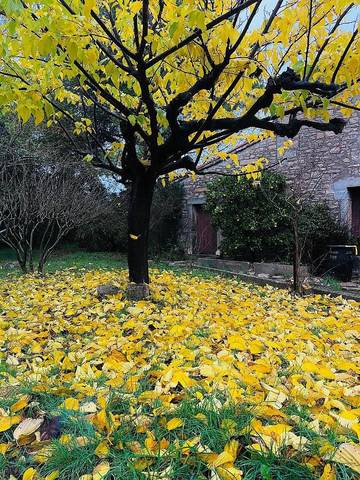 Location de vacances pour 6 personnes, avec vue ainsi que jardin et piscine, animaux acceptés à Claret