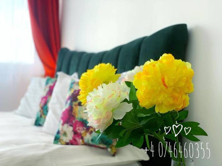 Apartament wakacyjny dla 4 osób, z ogród i widok w Kluż-Napoka