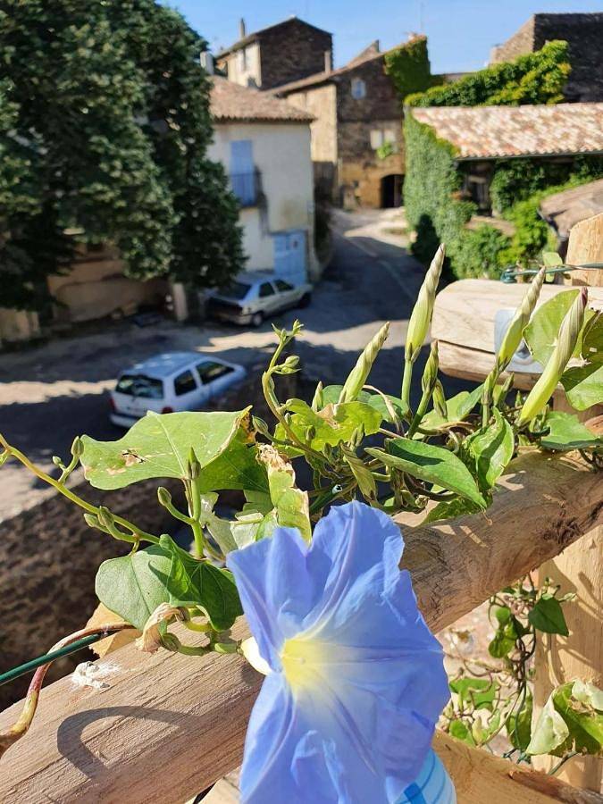 L'Exquishette de Lourmarin, un nid sur les toits. in Lourmarin, Regionaler Naturpark Luberon