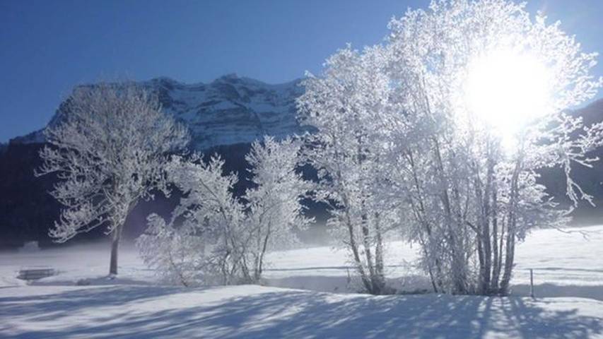 Ferienwohnung für 4 Personen, mit Balkon und Garten, mit Haustier in Bizau