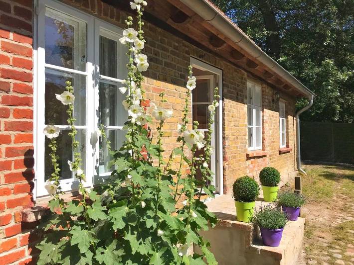 Ferienhaus für 5 Personen, mit Garten und Sauna, mit Haustier in Lohme - 4