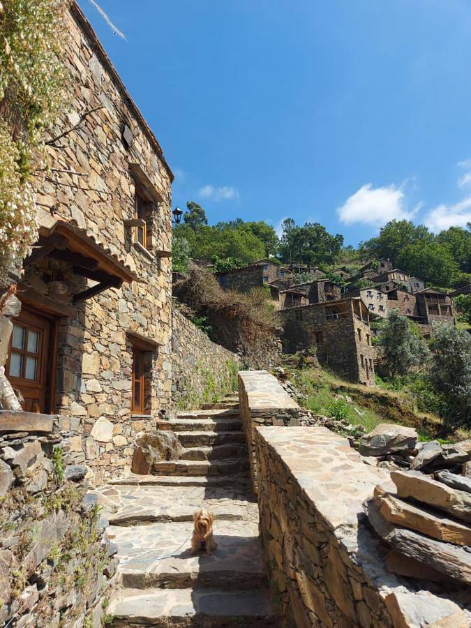 Location de vacances pour 4 personnes, avec vue à Lousã - 2